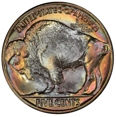 Right Reverse Example 1935 Buffalo Nickel No Mint Mark, MS Value - CoinKnow
